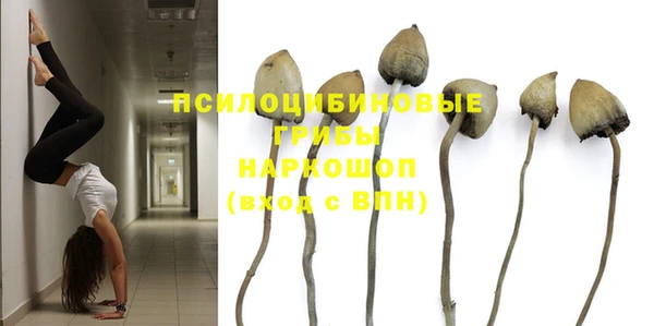 прущие грибы Алзамай