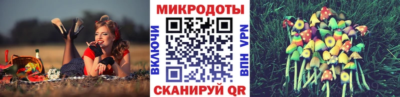 Псилоцибиновые грибы Cubensis  Невинномысск 