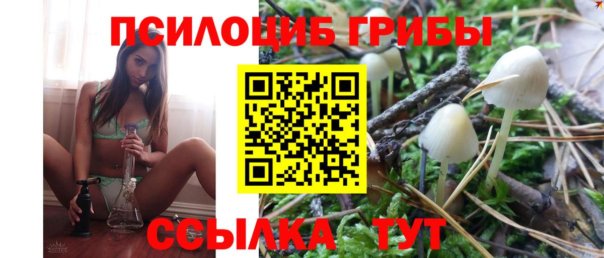 Невинномысск  Галлюциногенные грибы Psilocybine cubensis  Вход с VPN  Галлюциногенные грибы ЛСД 