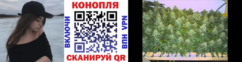Шишки марихуана ГИДРОПОН  Невинномысск 